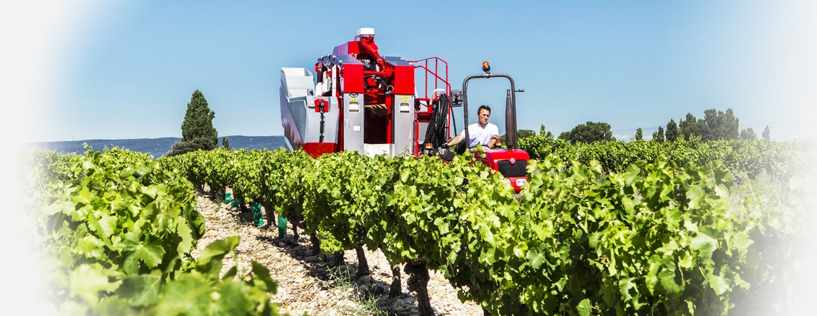 Sélecta 3
Rispetto totale della pianta<br>La risposta pratica e affidabile alla raccolta dell’uva.. Crdits : ©alma-france.com 2016